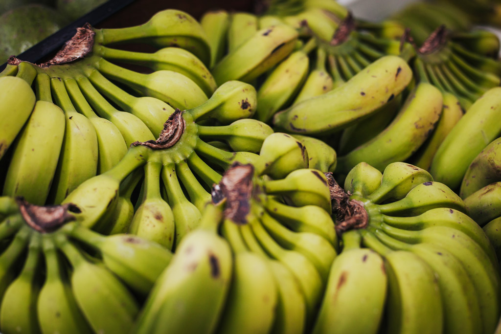 Vários cachos de bananas orgânicas