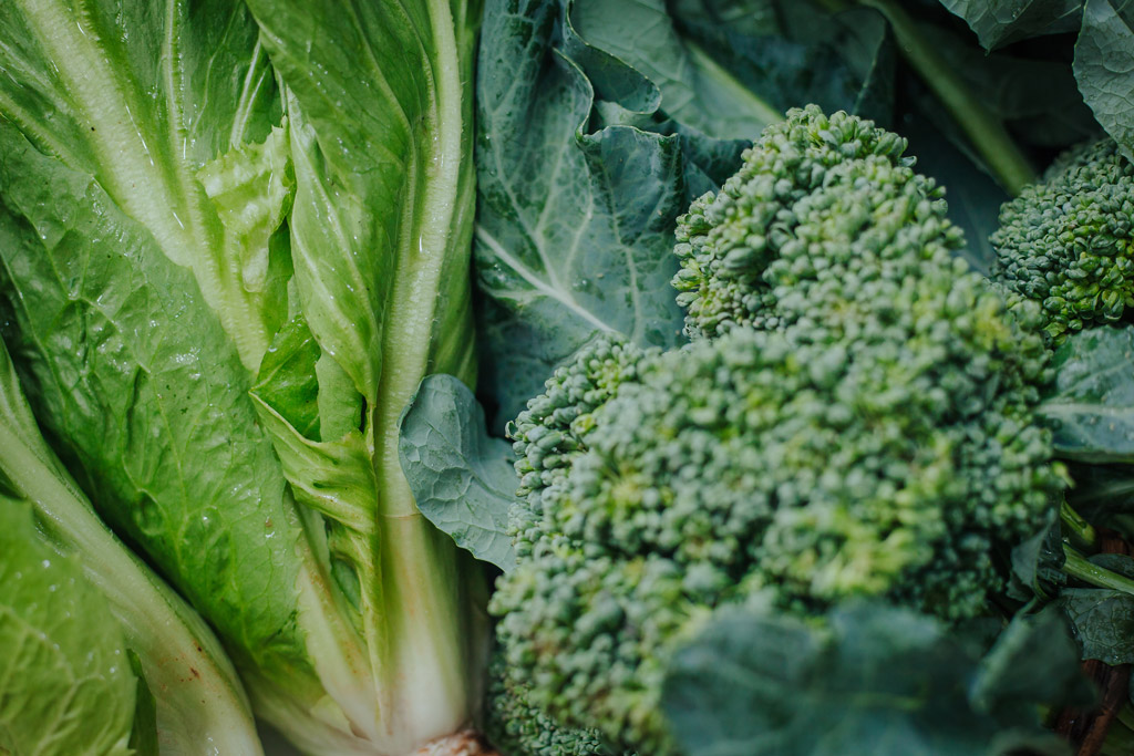 Verduras orgânicas