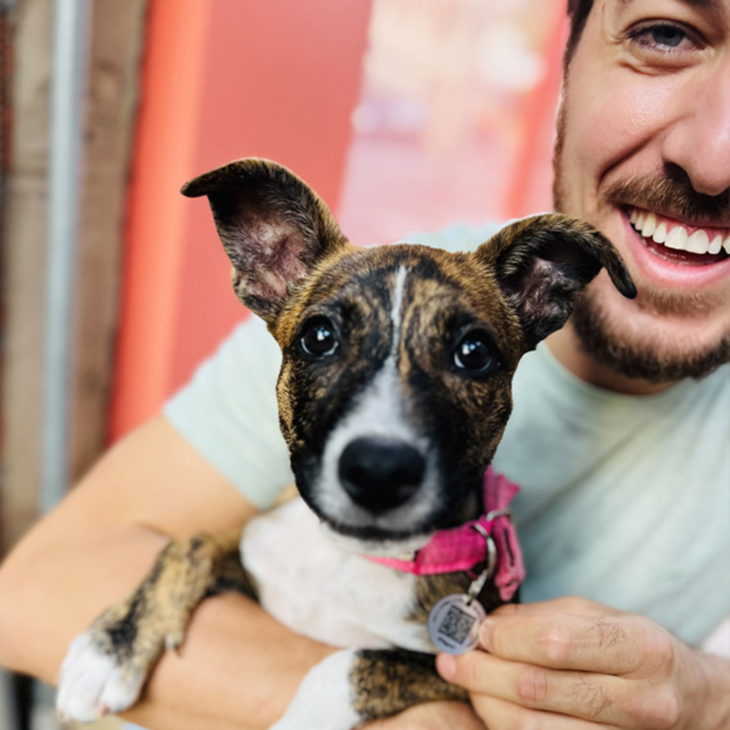 um homem com uma cachorra no colo segurando uma tag.
