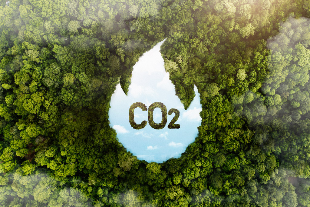 Uma fotomontagem de uma floresta, céu e a palavra "CO2"